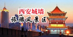 男人鸡巴插女生小穴视频免费下载中国陕西-西安城墙旅游风景区